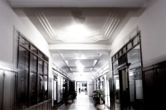 DSC06861-v1