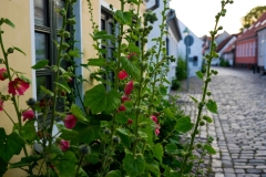 5.1 Ebeltoft