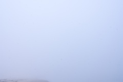 DSC00573