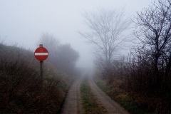 DSC00593
