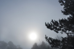DSC00613